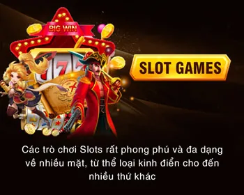Bảo mật thông tin người dùng Vin69